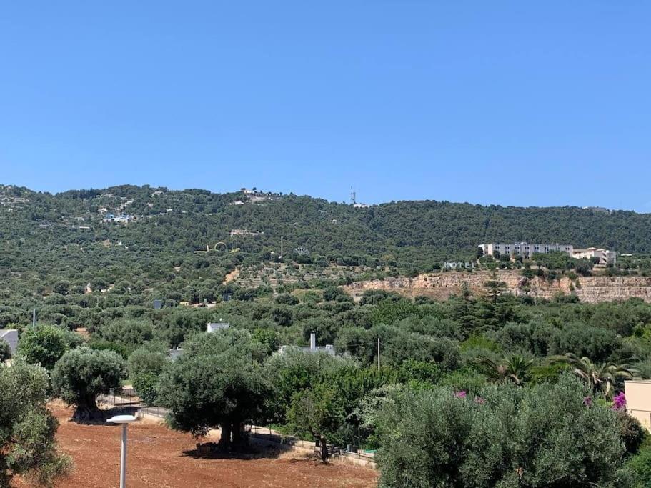 Appartamento Con Vista 파사노 외부 사진